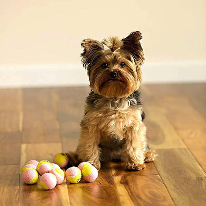 X-Small Dog Tennis Balls - 1.5" Pack of 12 for Endless Fun!