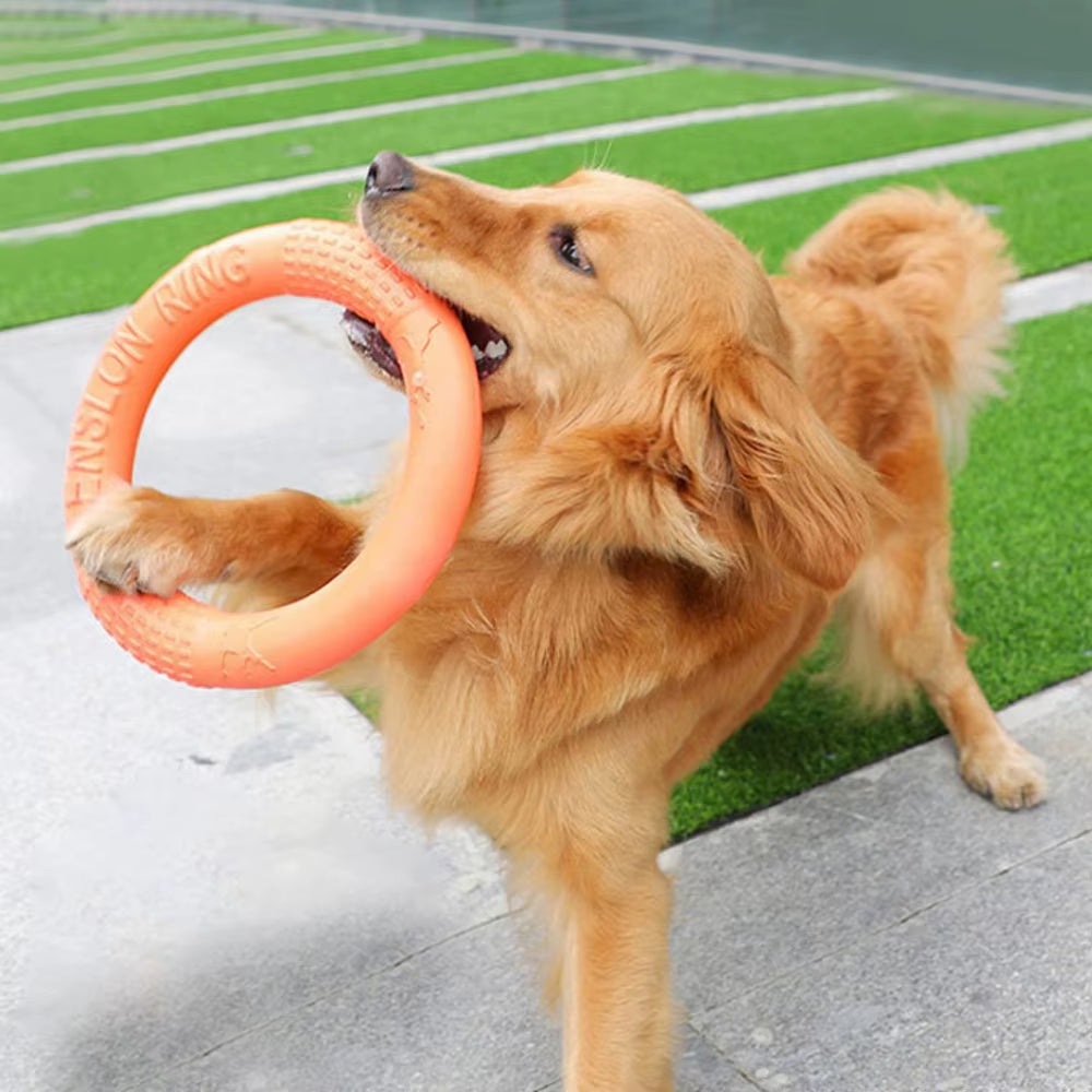Interactive Orange Dog Flying Disk - Durable EVA Training Ring for Fun and Engaging Play