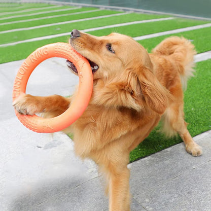 Interactive Orange Dog Flying Disk - Durable EVA Training Ring for Fun and Engaging Play