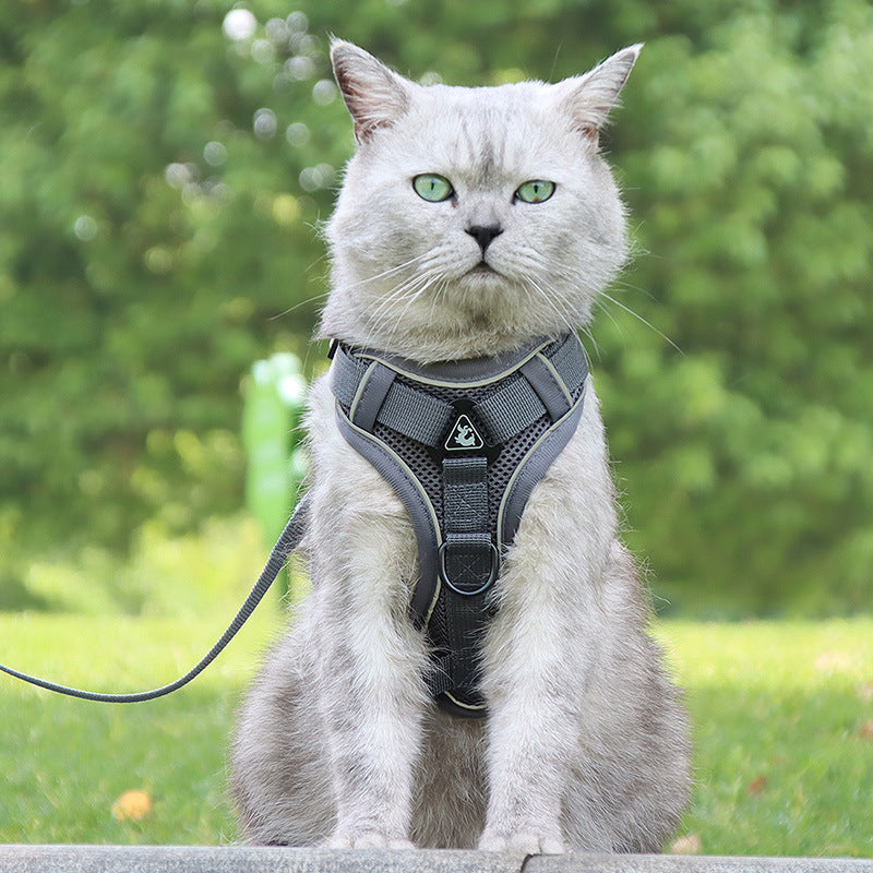 Cat-Specific Anti-Breakaway Cat Rope Silver Gradient Chain