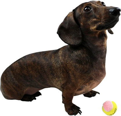X-Small Dog Tennis Balls - 1.5" Pack of 12 for Endless Fun!