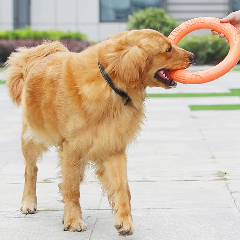 Interactive Orange Dog Flying Disk - Durable EVA Training Ring for Fun and Engaging Play