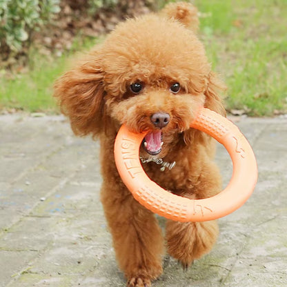 Interactive Orange Dog Flying Disk - Durable EVA Training Ring for Fun and Engaging Play