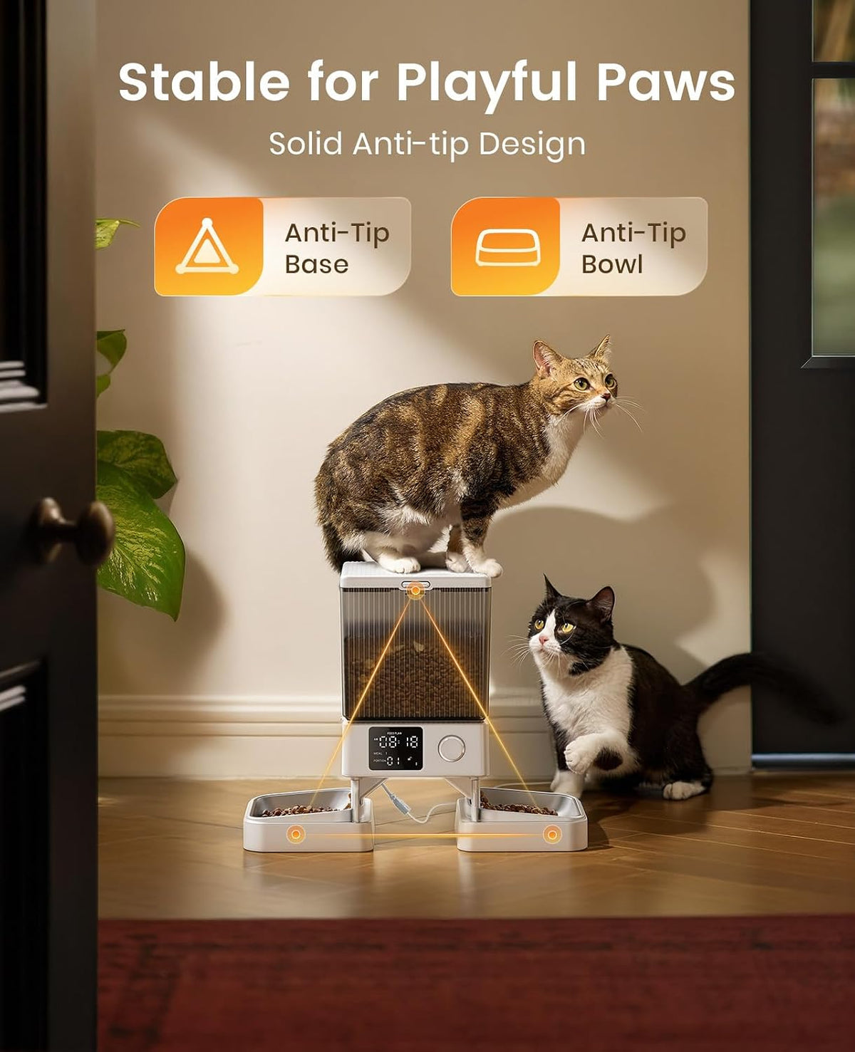 Smart Automatic Cat Feeder for 2 Cats - Timed Food Dispenser for Happy Pets!