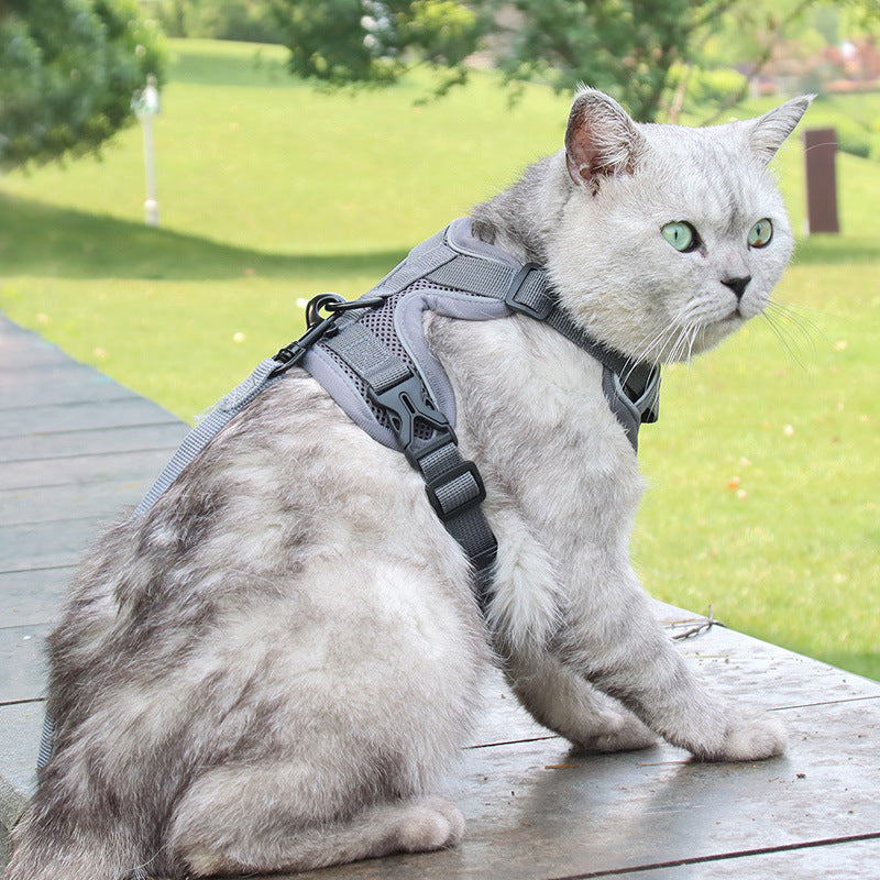 Cat-Specific Anti-Breakaway Cat Rope Silver Gradient Chain