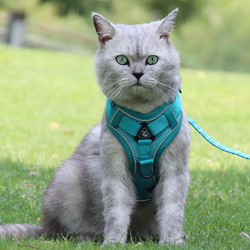 Cat-Specific Anti-Breakaway Cat Rope Silver Gradient Chain