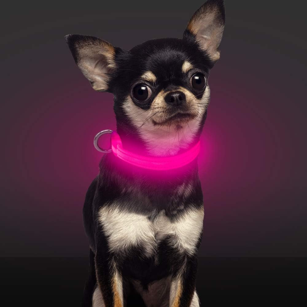 Glow in the Dark Pink Dog Collar for Small Dogs & Cats - XS Size